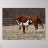 Bob Langrish | Quarter Horse Mare en Paint Foal Poster (Voorkant)