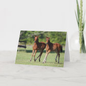 Bob Langrish | Quarter-paardenfokkerij Kaart (Voorkant)