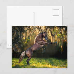 Bob Langrish Rakkervissenfokkerij in bergen Briefkaart