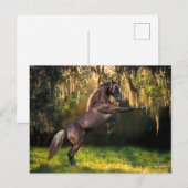 Bob Langrish | Rakkervissenfokkerij in bergen Briefkaart (Voorkant / Achterkant)