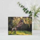 Bob Langrish | Rakkervissenfokkerij in bergen Briefkaart (Staand voorkant)