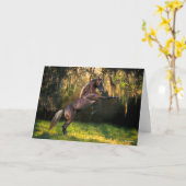 Bob Langrish | Rakkervissenfokkerij in bergen Kaart (Gele Bloem)