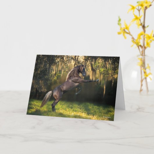 Bob Langrish | Rakkervissenfokkerij in bergen Kaart (Gele Bloem)