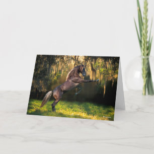 Bob Langrish   Rakkervissenfokkerij in bergen Kaart