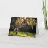 Bob Langrish | Rakkervissenfokkerij in bergen Kaart (Voorkant)