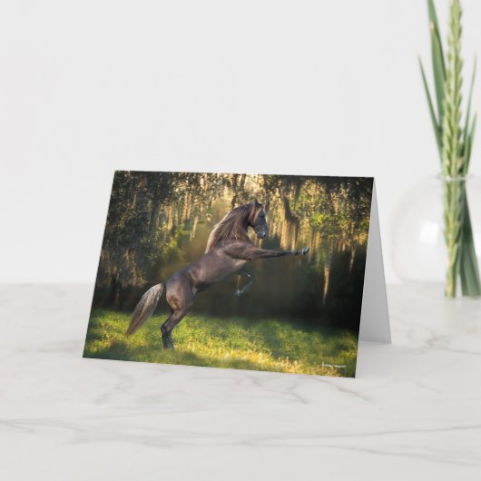 Bob Langrish | Rakkervissenfokkerij in bergen Kaart (Voorkant)