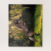 Bob Langrish | Rakkervissenfokkerij in bergen Legpuzzel (Verticaal)