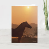 Bob Langrish | Rocky Mountain Horse Silhouette Kaart (Voorkant)