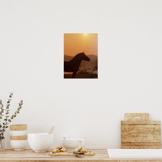 Bob Langrish | Rocky Mountain Horse Silhouette Poster (Keuken)