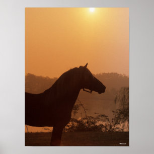 Bob Langrish Rocky Mountain Horse Silhouette Poster