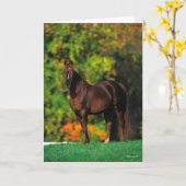 Bob Langrish Rocky Mountain Horse Standing Autumn Kaart (Gele Bloem)