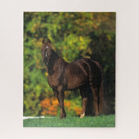Bob Langrish Rocky Mountain Horse Standing Autumn Legpuzzel (Verticaal)