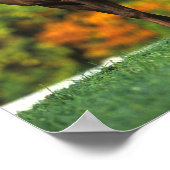 Bob Langrish Rocky Mountain Horse Standing Autumn Poster (Hoek)