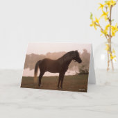 Bob Langrish Rocky Mountain Horse Standing Backlit Kaart (Gele Bloem)
