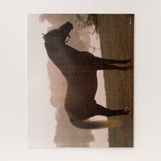 Bob Langrish Rocky Mountain Horse Standing Backlit Legpuzzel (Verticaal)