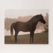 Bob Langrish Rocky Mountain Horse Standing Backlit Legpuzzel (Horizontaal)