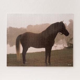 Bob Langrish Rocky Mountain Horse Standing Backlit Legpuzzel