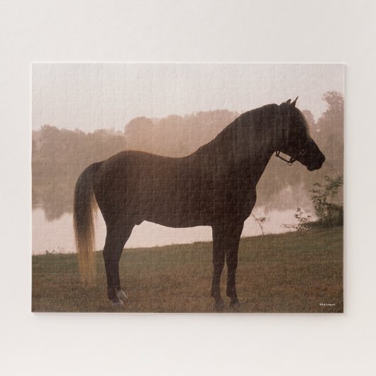 Bob Langrish Rocky Mountain Horse Standing Backlit Legpuzzel (Horizontaal)