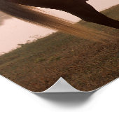 Bob Langrish Rocky Mountain Horse Standing Backlit Poster (Hoek)