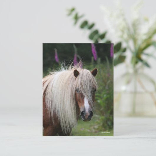 Bob Langrish | Shetland Pony headshot met bloemen Briefkaart (Staand voorkant)