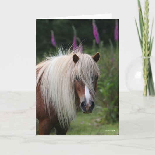 Bob Langrish | Shetland Pony headshot met bloemen Kaart (Voorkant)