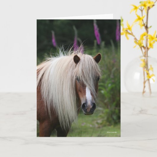 Bob Langrish | Shetland Pony headshot met bloemen Kaart (Gele Bloem)