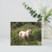 Bob Langrish | Shetland Pony in bloemen Briefkaart (Staand voorkant)