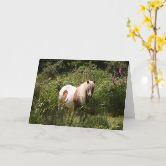 Bob Langrish | Shetland Pony in bloemen Kaart (Gele Bloem)