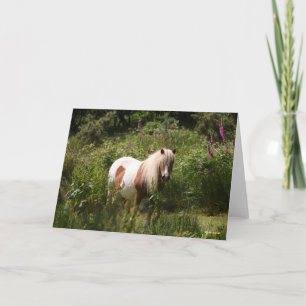 Bob Langrish   Shetland Pony in bloemen Kaart