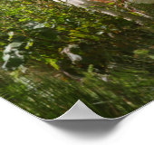 Bob Langrish | Shetland Pony in bloemen Poster (Hoek)