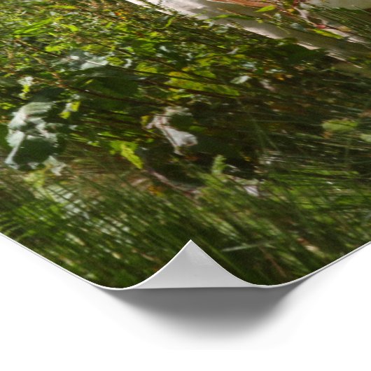 Bob Langrish | Shetland Pony in bloemen Poster (Hoek)