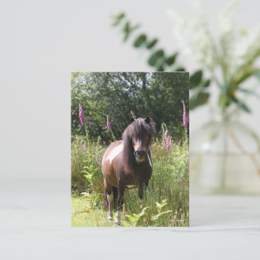 Bob Langrish | Shetland Pony met bloemen Briefkaart (Staand voorkant)
