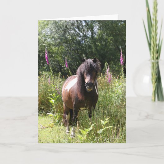 Bob Langrish | Shetland Pony met bloemen Kaart (Voorkant)
