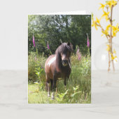 Bob Langrish | Shetland Pony met bloemen Kaart (Gele Bloem)