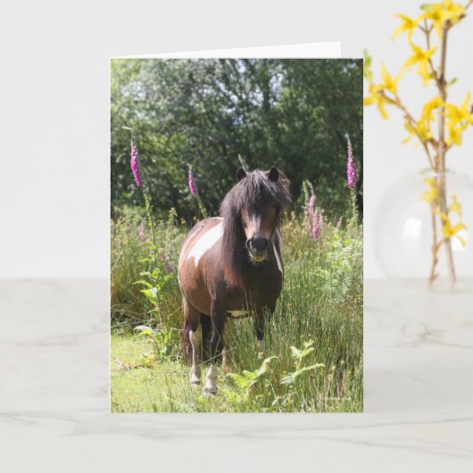 Bob Langrish | Shetland Pony met bloemen Kaart (Gele Bloem)