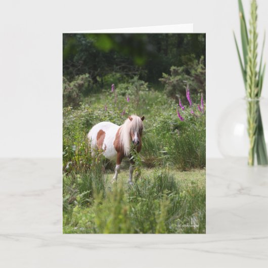 Bob Langrish | Shetland Pony met bloemen Kaart (Voorkant)