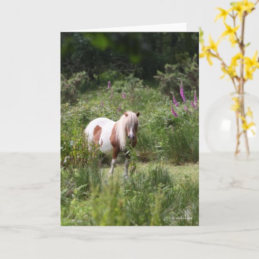 Bob Langrish | Shetland Pony met bloemen Kaart (Gele Bloem)