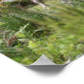 Bob Langrish | Shetland Pony met bloemen Poster (Hoek)