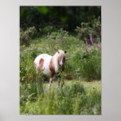 Bob Langrish | Shetland Pony met bloemen Poster (Voorkant)