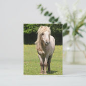 Bob Langrish | Shetland Pony Permanent Briefkaart (Staand voorkant)