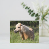Bob Langrish Shetland Pony Permanent in Long Grass Briefkaart (Staand voorkant)
