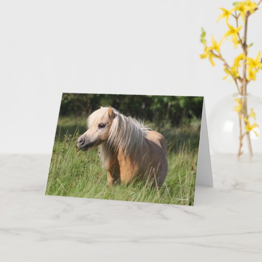 Bob Langrish Shetland Pony Permanent in Long Grass Kaart (Gele Bloem)