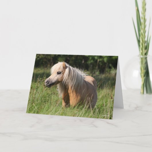 Bob Langrish Shetland Pony Permanent in Long Grass Kaart (Voorkant)