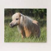 Bob Langrish Shetland Pony Permanent in Long Grass Legpuzzel (Horizontaal)