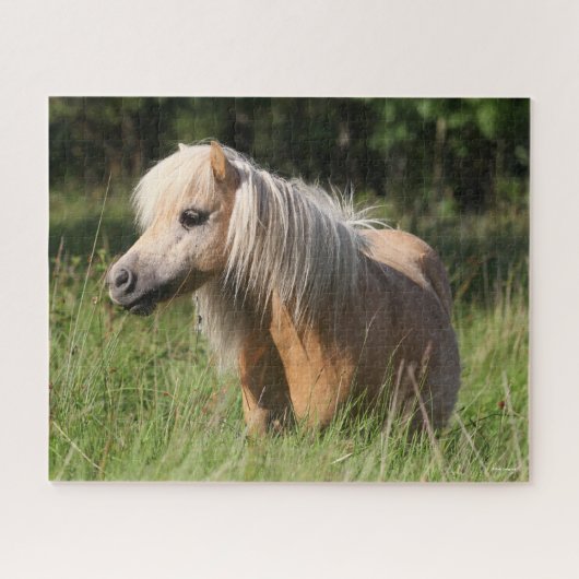 Bob Langrish Shetland Pony Permanent in Long Grass Legpuzzel (Horizontaal)