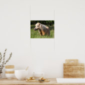 Bob Langrish Shetland Pony Permanent in Long Grass Poster (Keuken)
