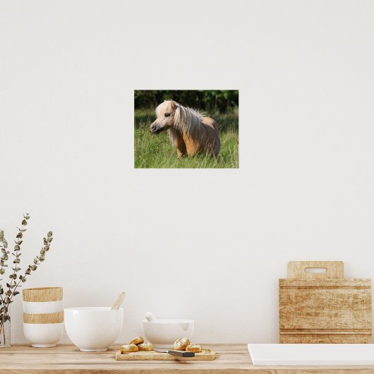 Bob Langrish Shetland Pony Permanent in Long Grass Poster (Keuken)
