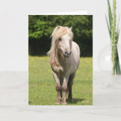 Bob Langrish | Shetland Pony Permanent Kaart (Voorkant)