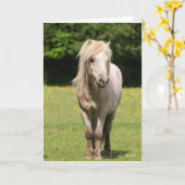 Bob Langrish | Shetland Pony Permanent Kaart (Gele Bloem)