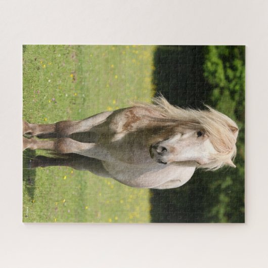 Bob Langrish | Shetland Pony Permanent Legpuzzel (Horizontaal)